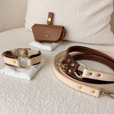 Leather Collar & Lead Walk Set